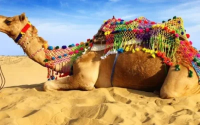 The Timeless Beauty of Rajasthan